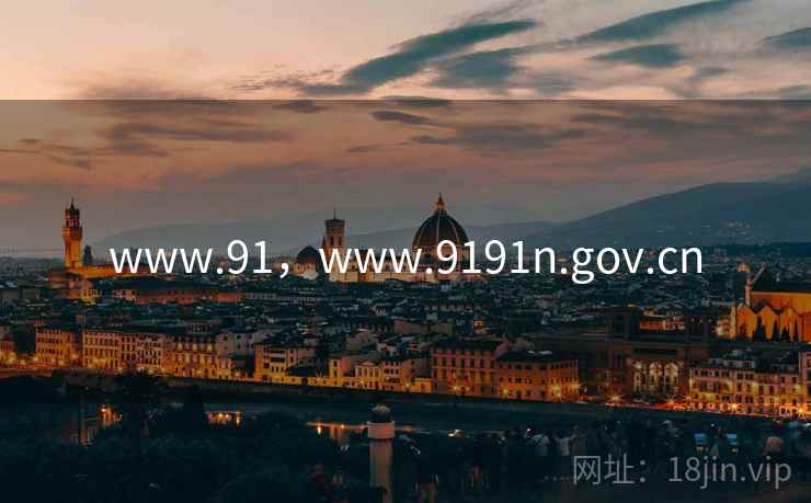 www.91，www.9191n.gov.cn
