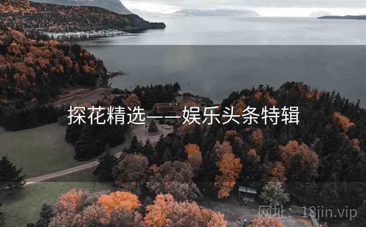 探花精选——娱乐头条特辑